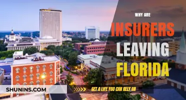 Florida's Insurance Crisis: Why Insurers Are Leaving