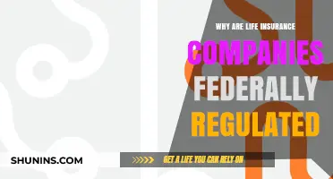 Why Life Insurance Companies Face Federal Regulation: Key Insights