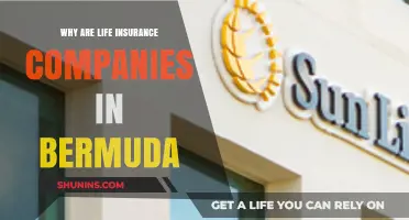 Why Bermuda Attracts Top Life Insurance Companies Globally