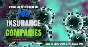 Low Interest Rates: A Hidden Threat to Insurance Company Stability