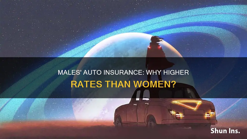 why are males auto insurances rates higher than mens