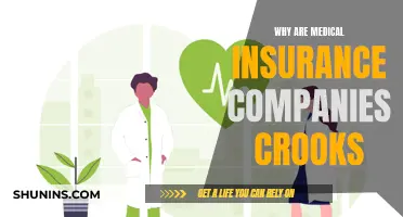 Medical Insurance Companies: Crooks or Necessary Evil?
