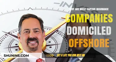 Offshore Captive Insurance: Why Companies Choose International Domiciles