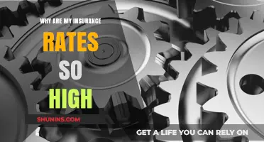 Understanding Insurance Rates: Why They're Skyrocketing