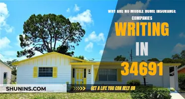 Why Are Mobile Home Insurance Companies Avoiding Zip Code 34691?