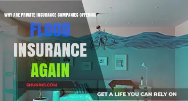 Private Flood Insurance Returns: Understanding the Resurgence and Implications