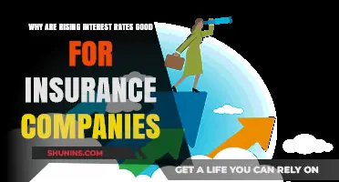 Rising Rates, Rising Profits: How Insurance Companies Benefit