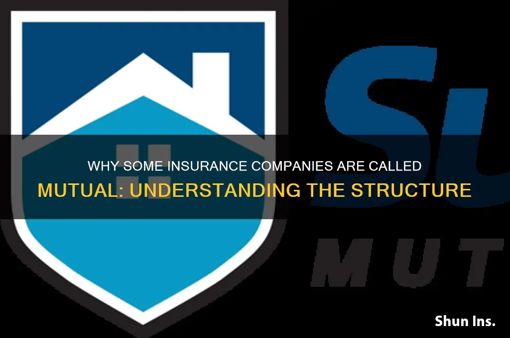why are some insurance companies called mutual