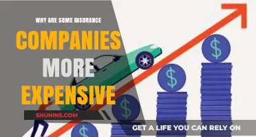 Why Some Insurance Companies Charge More: Key Factors Explained