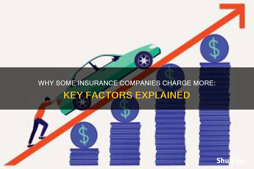 why are some insurance companies more expensive
