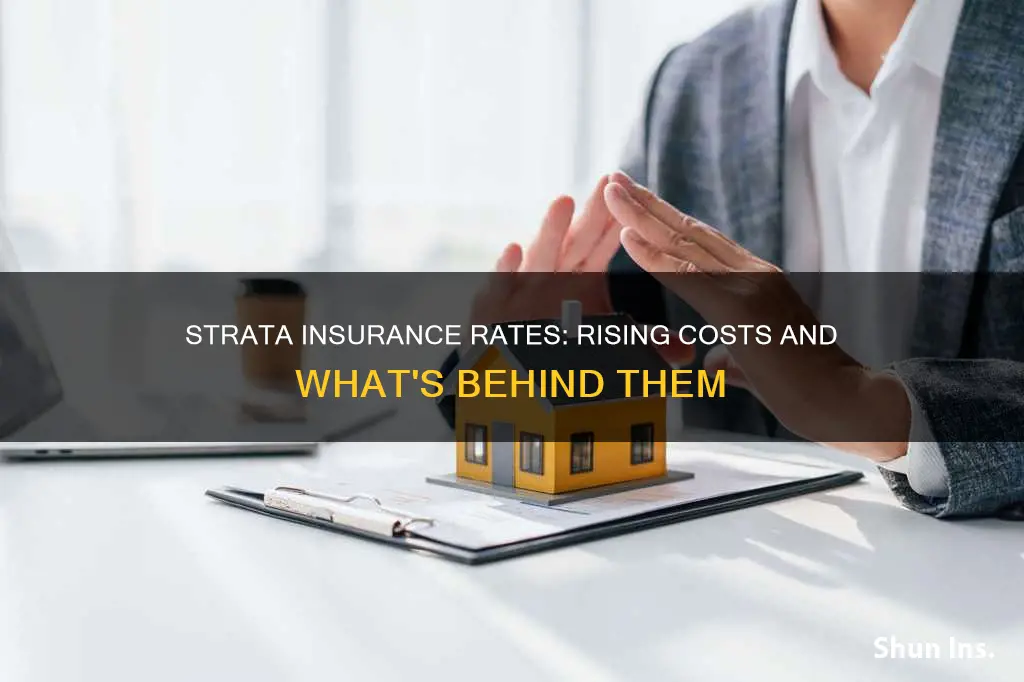 why are strata insurance rates going up