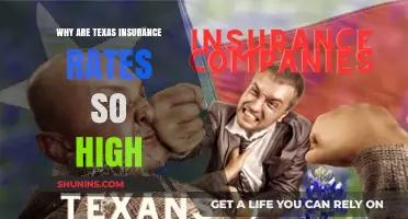Texas Insurance Rates: Why the High Cost?