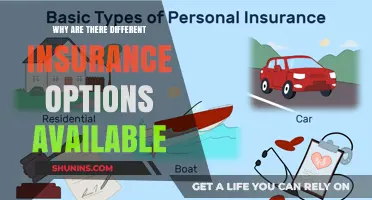 Insurance Options: Tailored Coverage for Your Needs