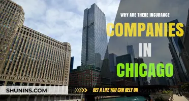 Why Chicago is a Hub for Insurance Companies: Key Factors Explained