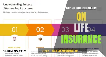 Probate Fees: Unraveling the Mystery Behind Life Insurance Costs