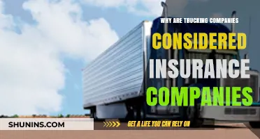 Trucking Firms as Insurers: Unraveling the Surprising Industry Connection