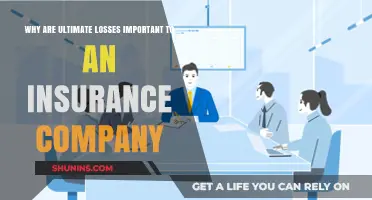 Understanding Ultimate Losses: Key to Insurance Company Financial Stability