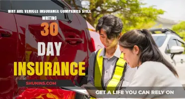 Why 30-Day Insurance Policies Persist in the Auto Industry