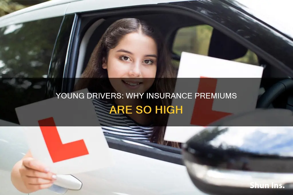 why are young drivers insurance so high