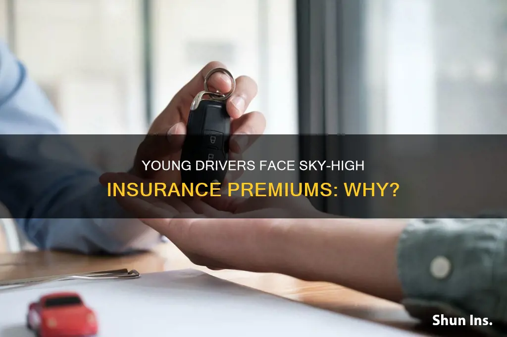 why are young drivers insurance so high