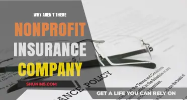 Why Nonprofit Insurance Companies Rarely Exist: Exploring the Industry Gap