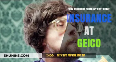 Why Assurant Lost Home Insurance Partnership with GEICO: Key Factors