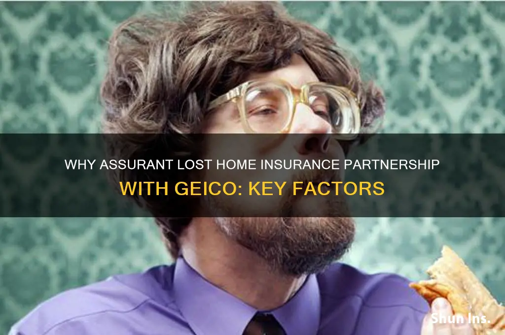 why assurant company lost home insurance at geico
