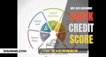 Auto Insurance Credit Checks: Why It Matters