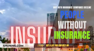 Auto Insurance Companies: Declining the Uninsured