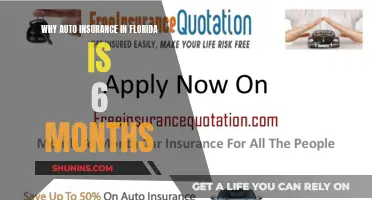 Florida Auto Insurance: Six-Month Policies Explained