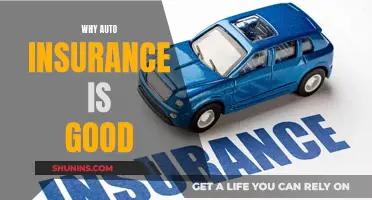 Auto Insurance: A Necessary Financial Safety Net