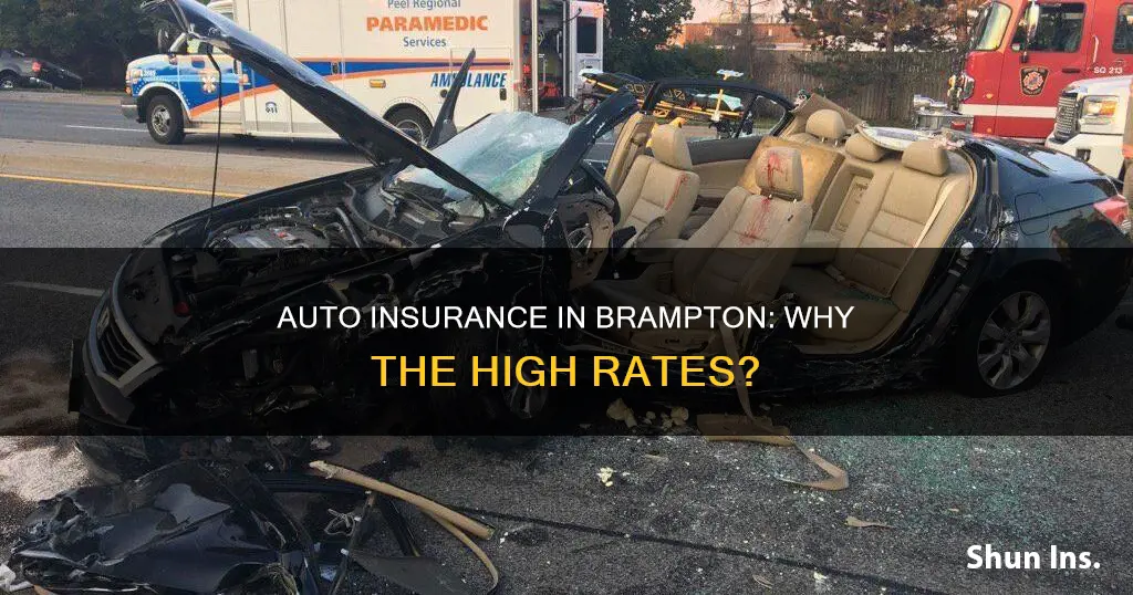 why auto insurance is high in brampton