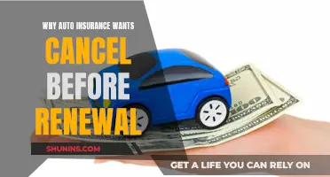 Auto Insurance Cancellation: Why Before Renewal?