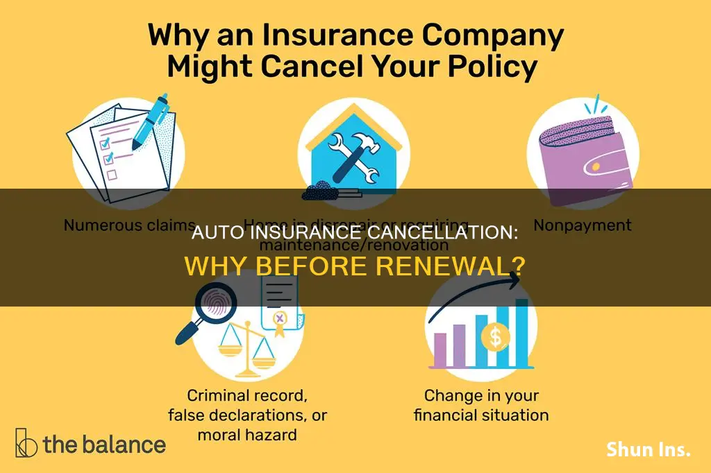 why auto insurance wants cancel before renewal