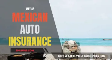 Mexican Auto Insurance: Why You Need It Now