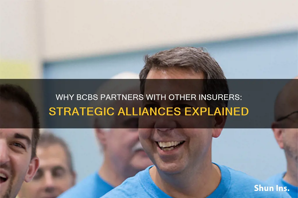 why bcbs tie up with other insurance companies
