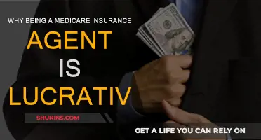 Lucrative Opportunities as a Medicare Insurance Agent