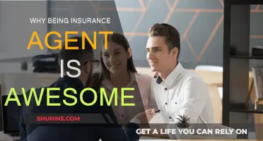 Insurance Agents: A Rewarding Career Choice