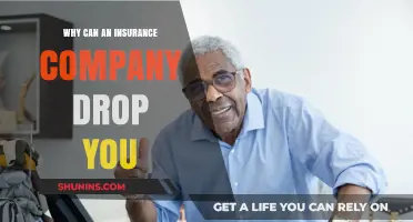 Why Insurance Companies Drop Policyholders: Key Reasons and What to Do