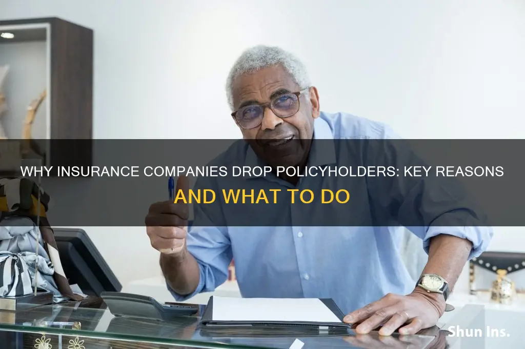 why can an insurance company drop you