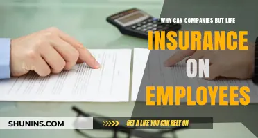 Why Companies Purchase Life Insurance Policies for Their Employees