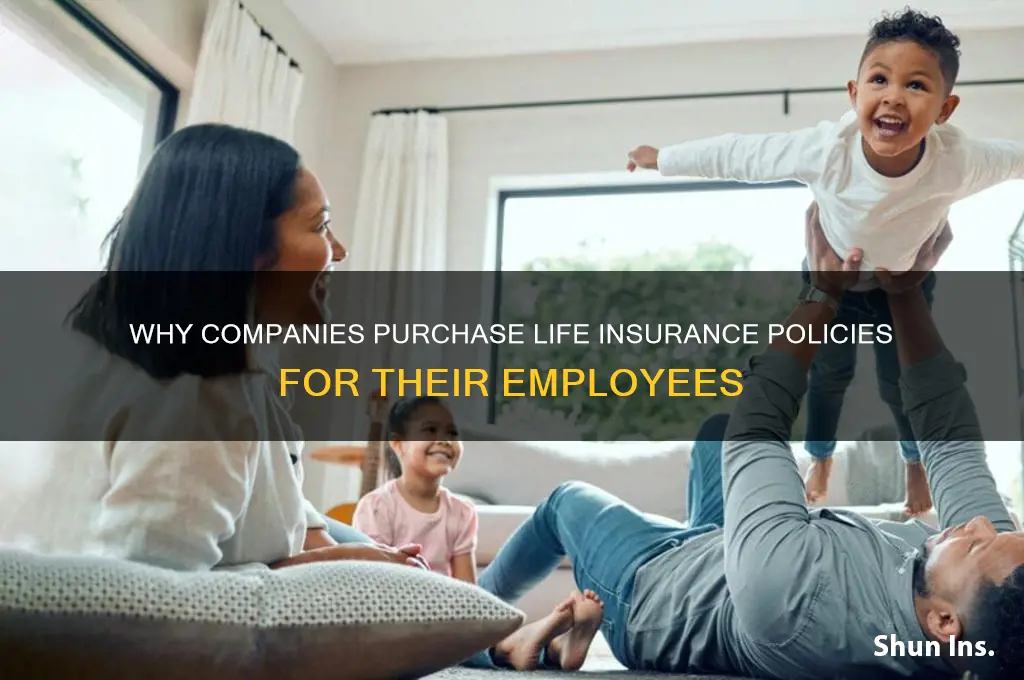 why can companies but life insurance on employees