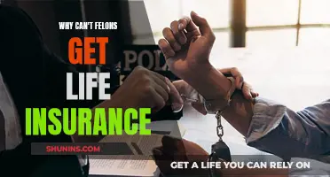 Life Insurance and Felons: A Complex Relationship