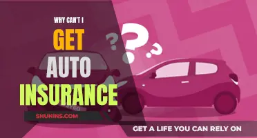 Uninsurable: Why Auto Insurance is Impossible