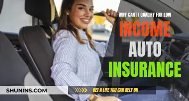 Understanding Auto Insurance: Low-Income Eligibility and Exclusions