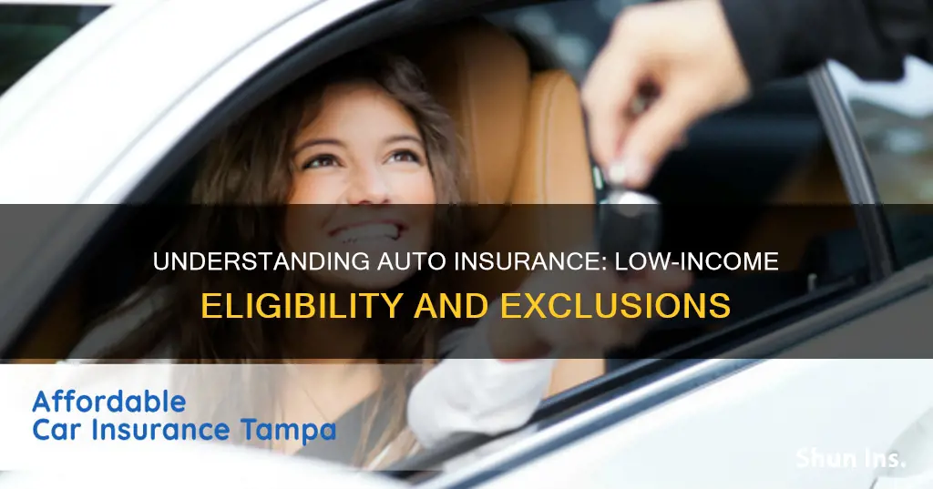 why cant I qualify for low income auto insurance