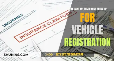 Insurance Glitch: Vehicle Registration Woes