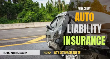 Auto Liability Insurance: Protection Against Financial Ruin