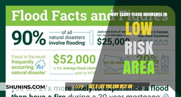 Flood Insurance: Low Risk, High Reward