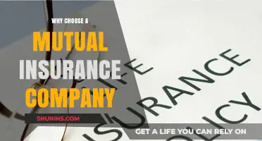 Mutual Insurance Companies: Benefits, Trust, and Shared Success for Policyholders